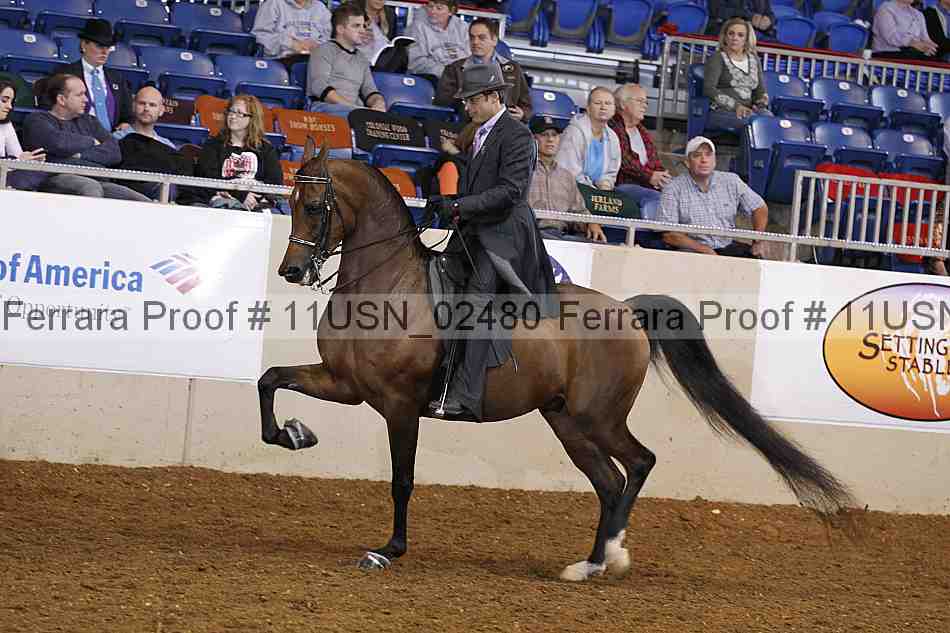 Proof 11usn_02480