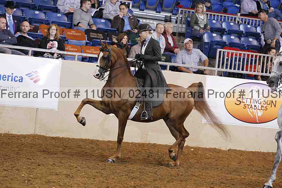 Proof 11usn_02481