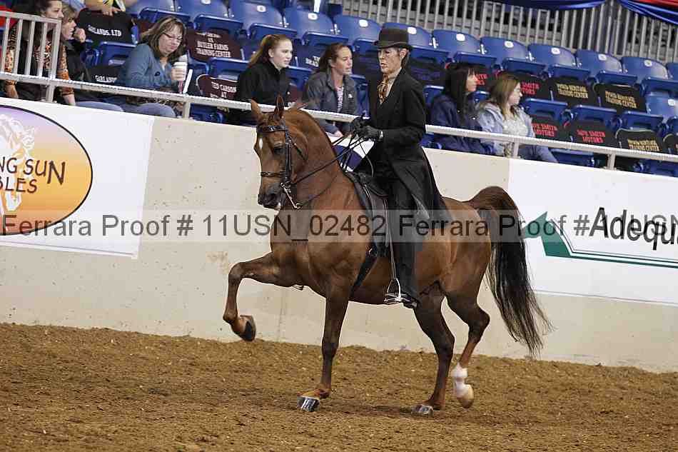 Proof 11usn_02482