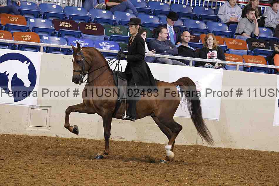 Proof 11usn_02483