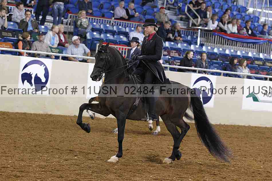 Proof 11usn_02484