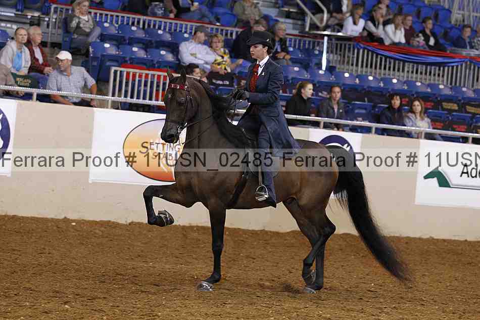 Proof 11usn_02485