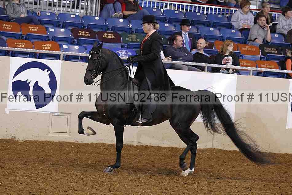 Proof 11usn_02486