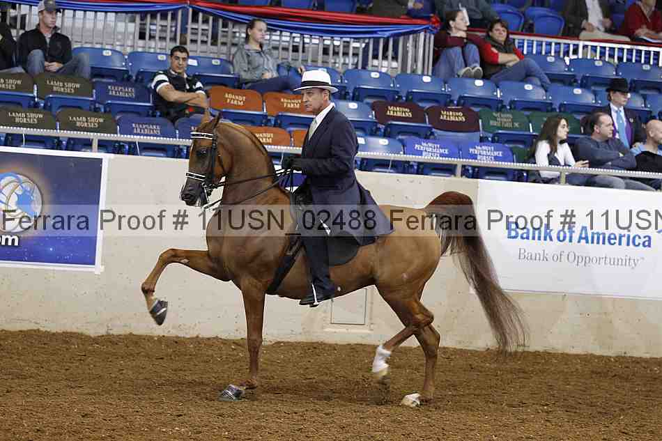 Proof 11usn_02488