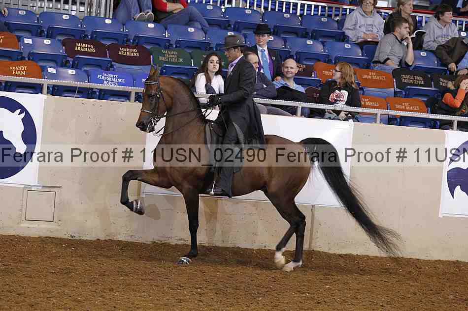 Proof 11usn_02490