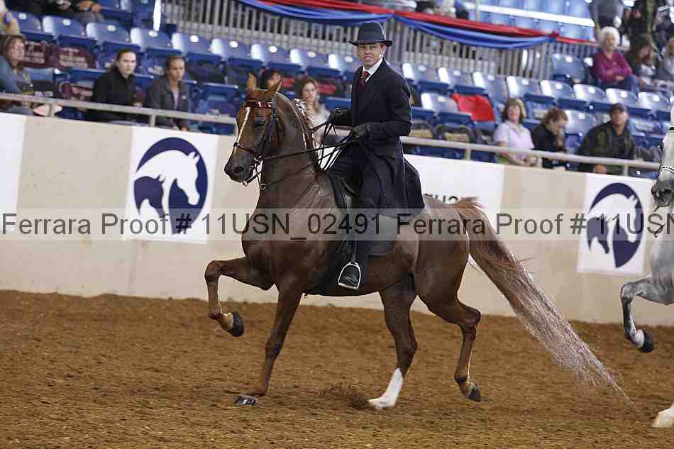 Proof 11usn_02491