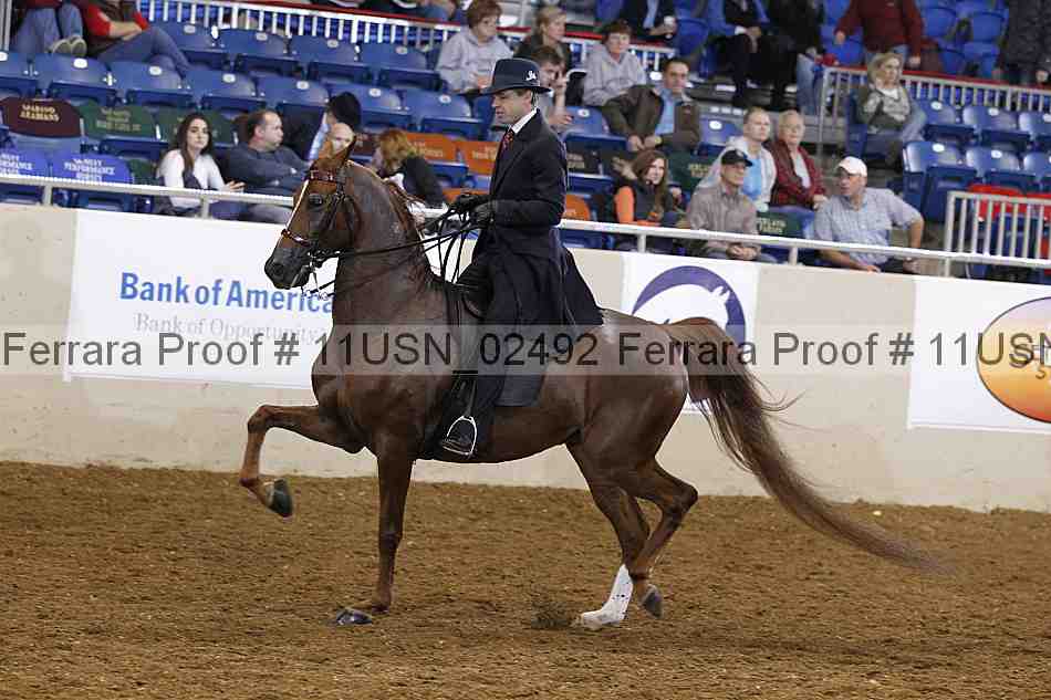Proof 11usn_02492
