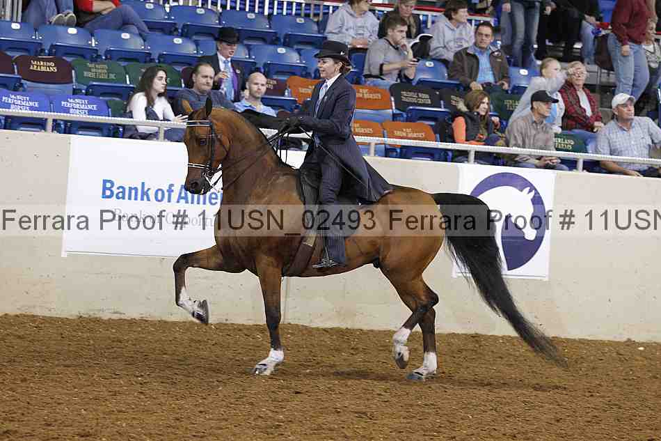 Proof 11usn_02493