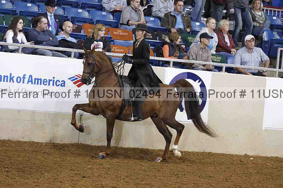 Proof 11usn_02494