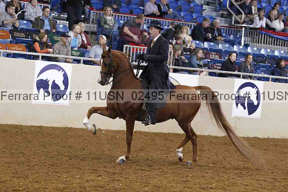 Proof 11usn_02495