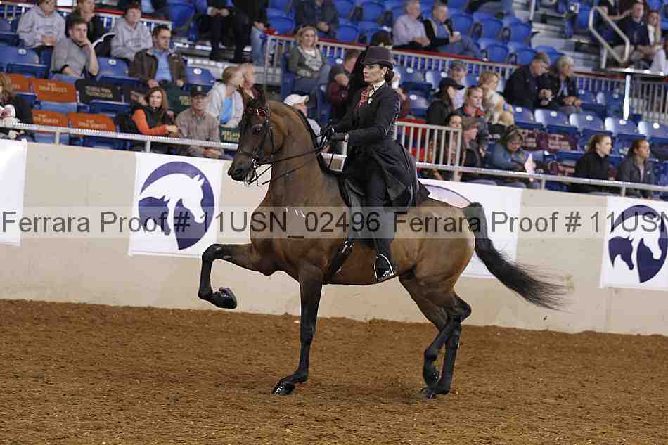 Proof 11usn_02496