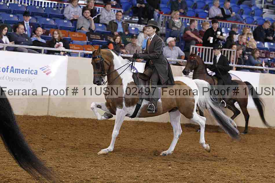 Proof 11usn_02497