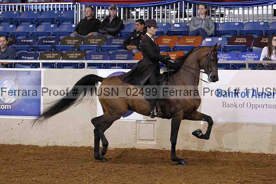Proof 11usn_02499