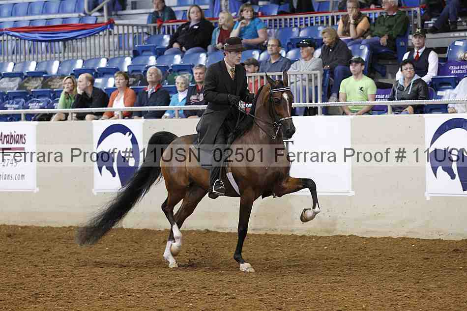 Proof 11usn_02501