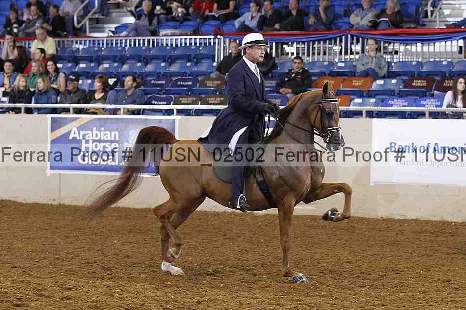 Proof 11usn_02502