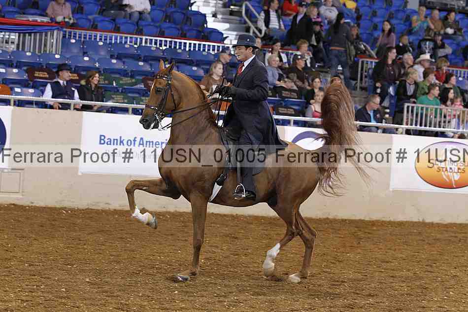 Proof 11usn_01005