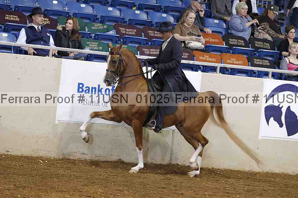 Proof 11usn_01025