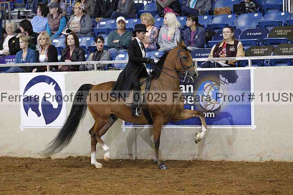 Proof 11usn_01029