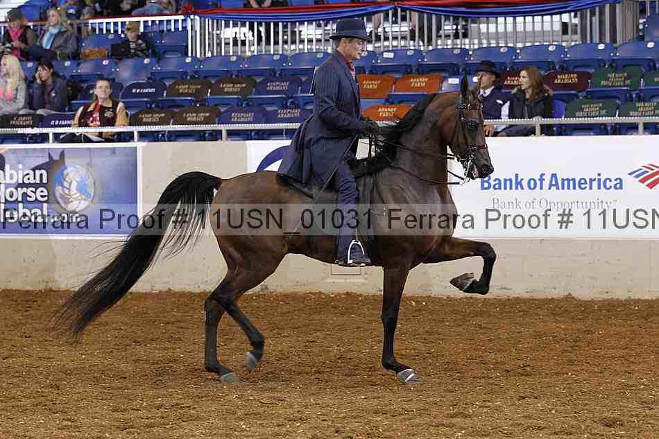 Proof 11usn_01031
