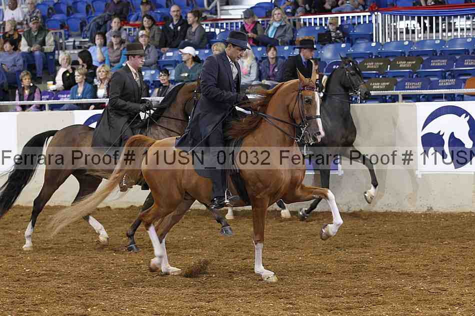 Proof 11usn_01032