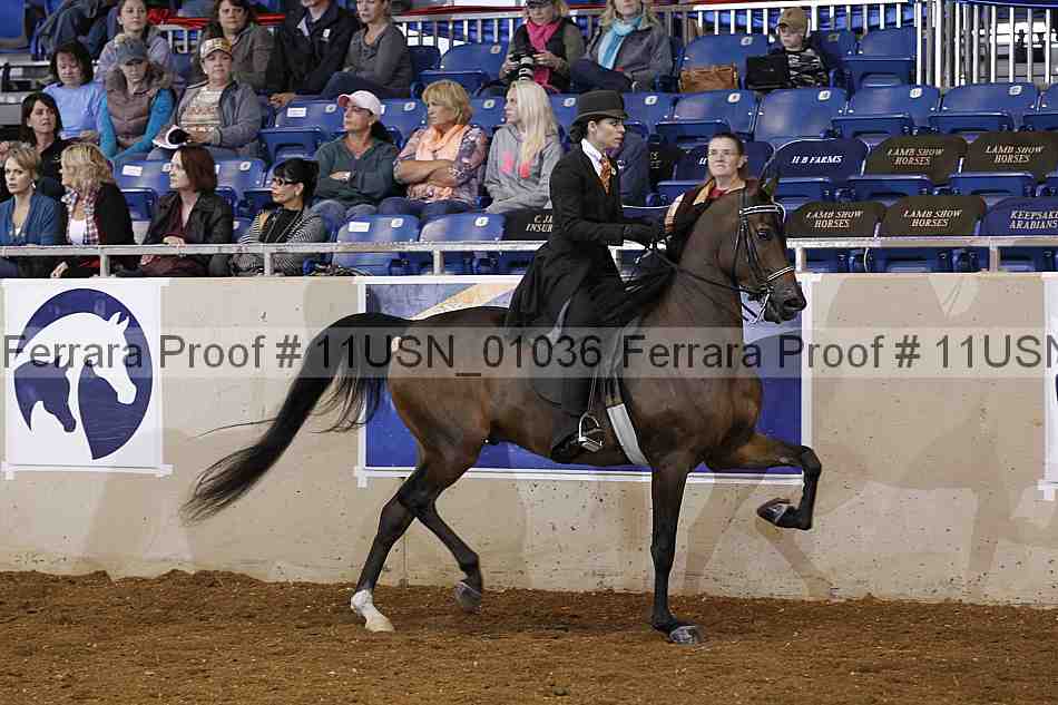 Proof 11usn_01036