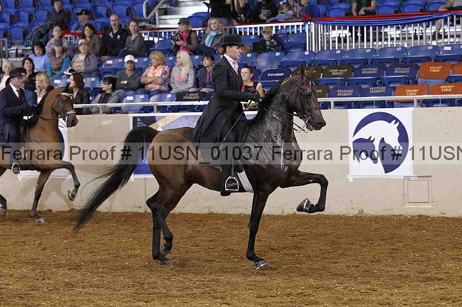 Proof 11usn_01037