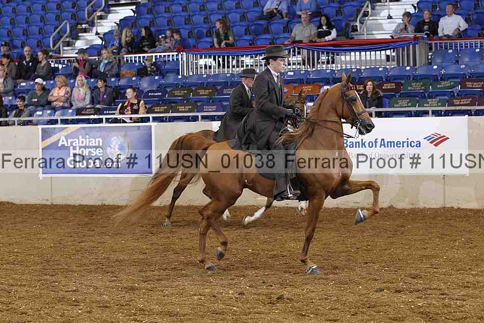 Proof 11usn_01038