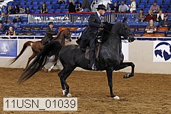 11usn_01039 proof