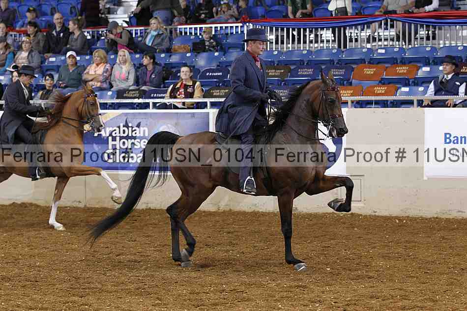 Proof 11usn_01041