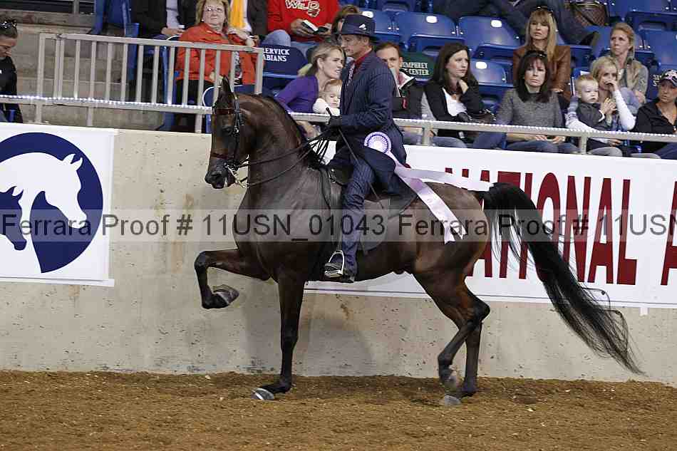 Proof 11usn_01043