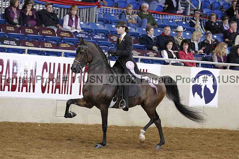 Proof 11usn_01052