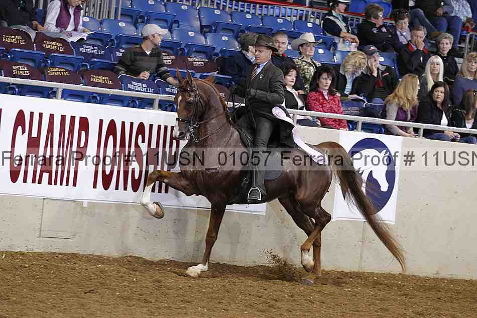 Proof 11usn_01057