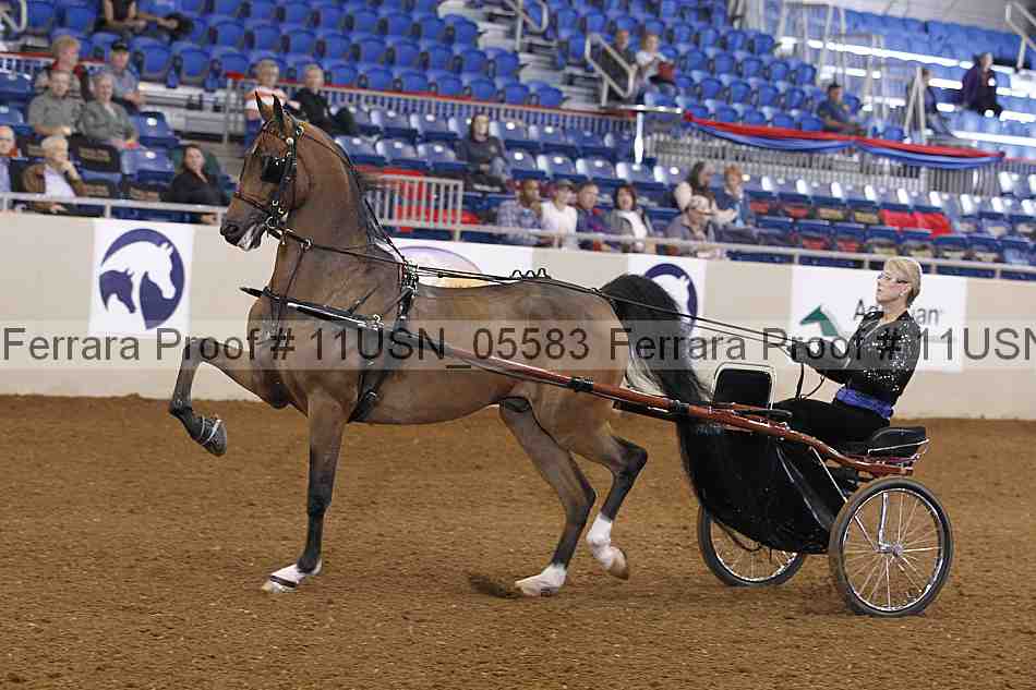 Proof 11usn_05583