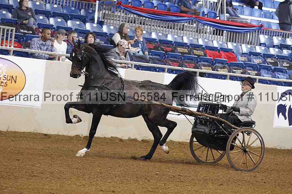 Proof 11usn_05584