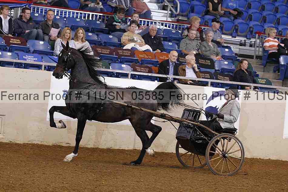 Proof 11usn_05585