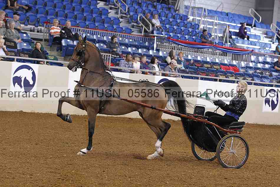 Proof 11usn_05586