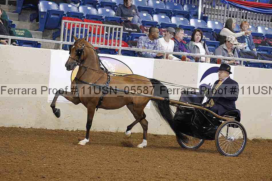 Proof 11usn_05587
