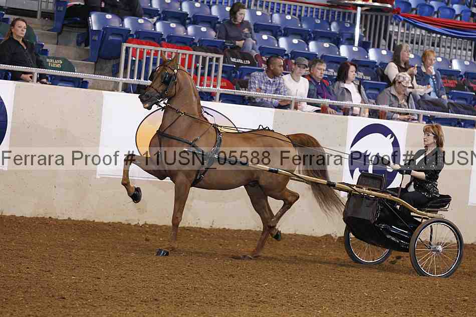 Proof 11usn_05588