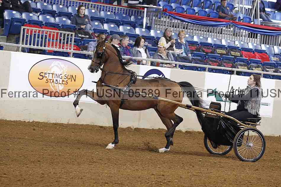 Proof 11usn_05589
