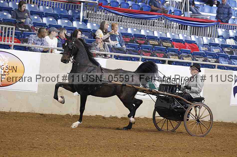 Proof 11usn_05591