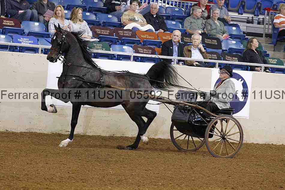 Proof 11usn_05592