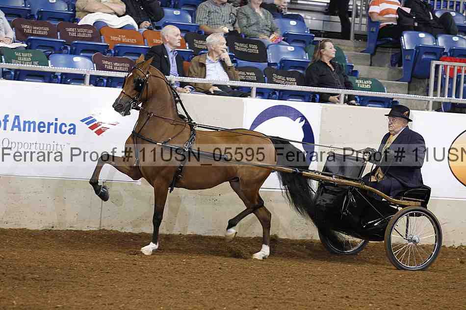 Proof 11usn_05595