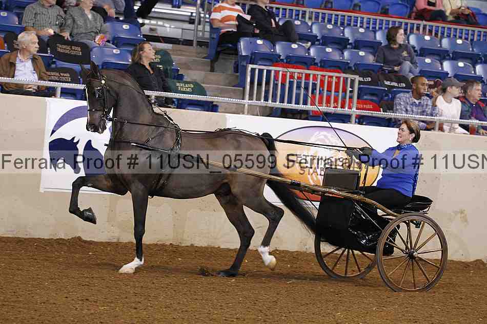 Proof 11usn_05599