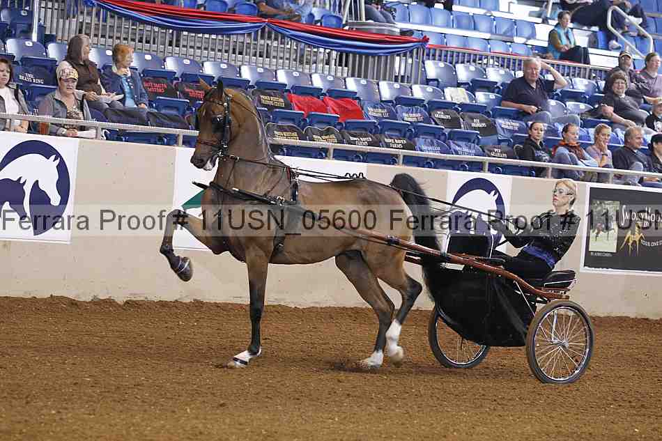 Proof 11usn_05600