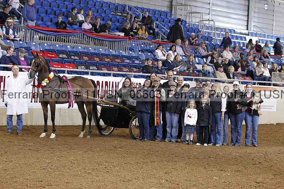 Proof 11usn_05608