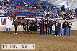 11usn_05609 proof