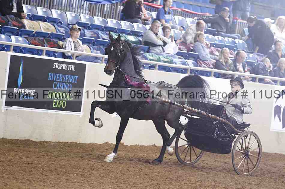 Proof 11usn_05614