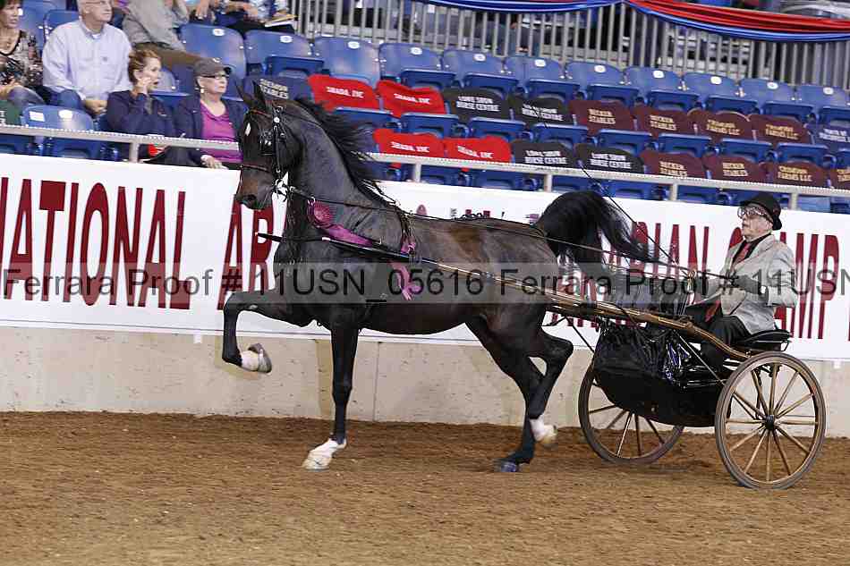 Proof 11usn_05616