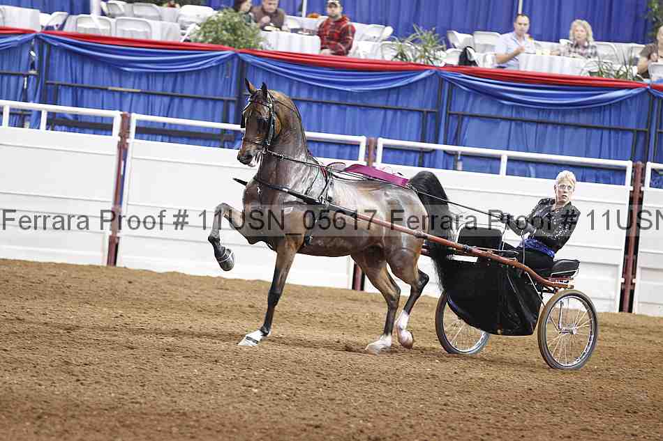 Proof 11usn_05617