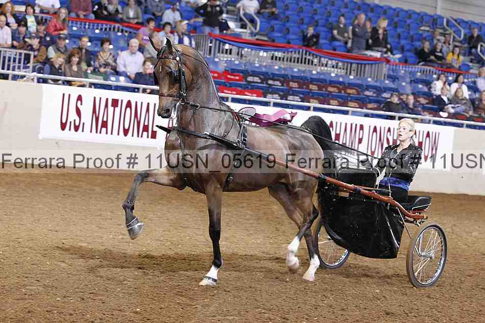 Proof 11usn_05619